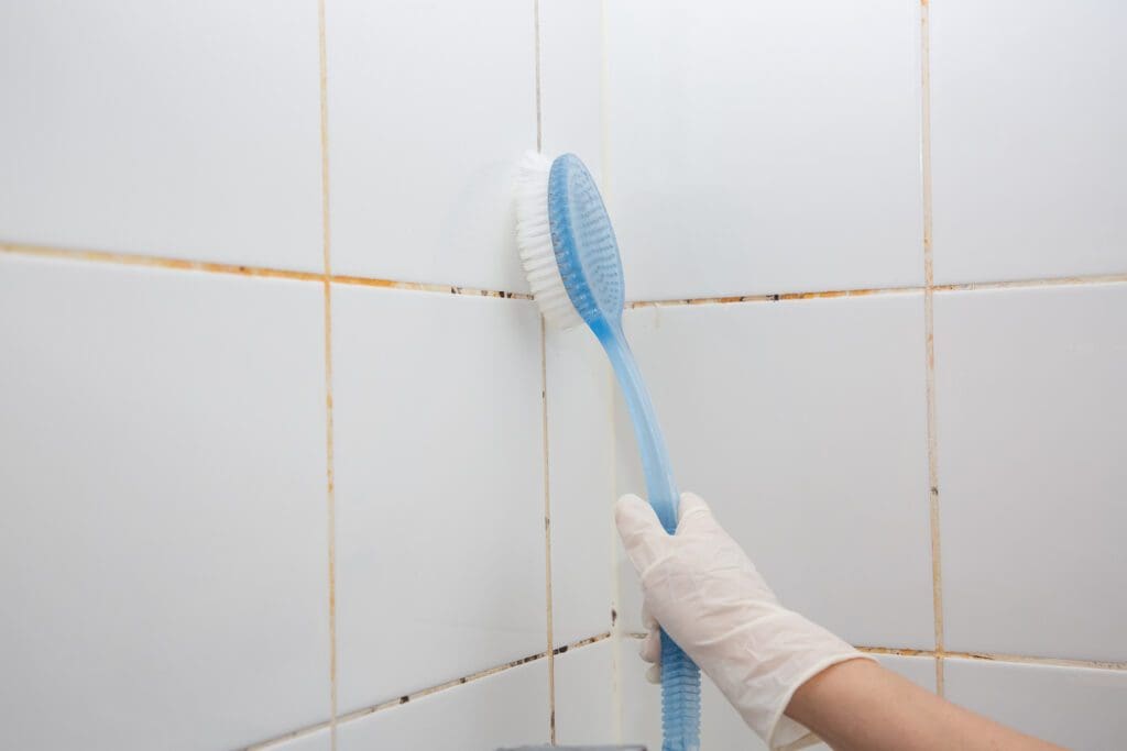 Mold or fungus of the wall in the Shower room causing black or brown mold in the bathroom